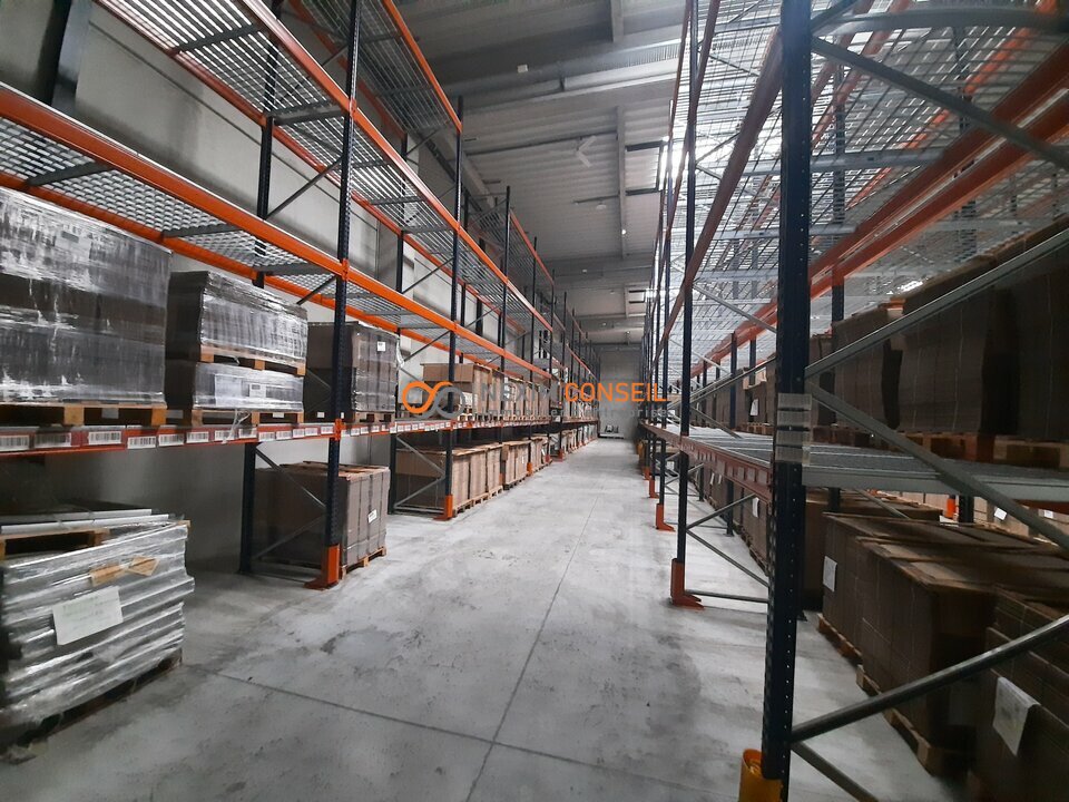 NEXIM CONSEIL LOCATION-LOCAL D'ACTIVITE-CORMEILLES_EN_PARISIS-95