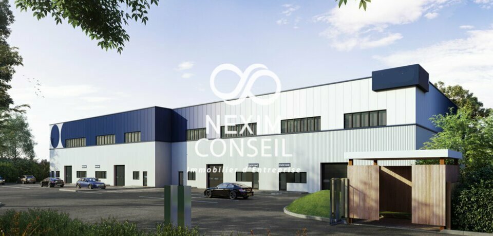 NEXIM CONSEIL LOCATION-ENTREPOT-CHILLY_MAZARIN-91