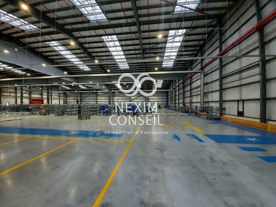 NEXIM CONSEIL LOCATION-ENTREPOT-GENNEVILLIERS-92