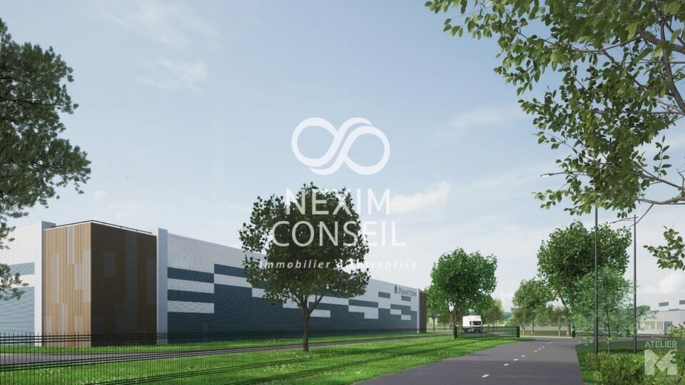 NEXIM CONSEIL LOCATION-LOCAL D'ACTIVITE-AMBLAINVILLE-60