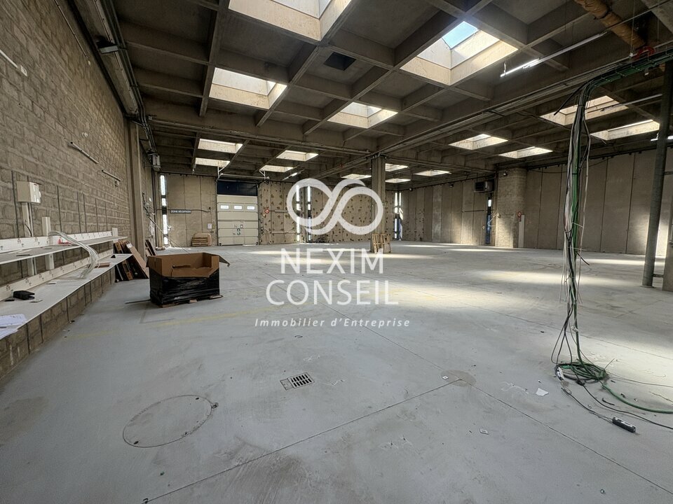 NEXIM CONSEIL LOCATION-ENTREPOT-RUNGIS-94