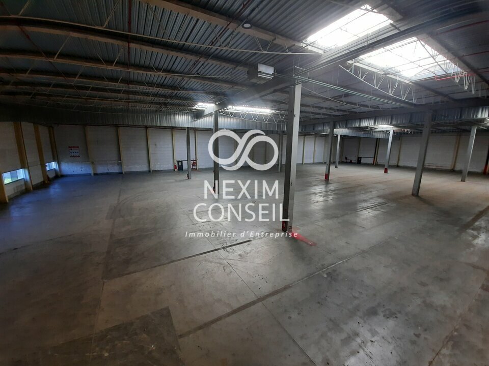 NEXIM CONSEIL LOCATION-ENTREPOT-GENNEVILLIERS-92