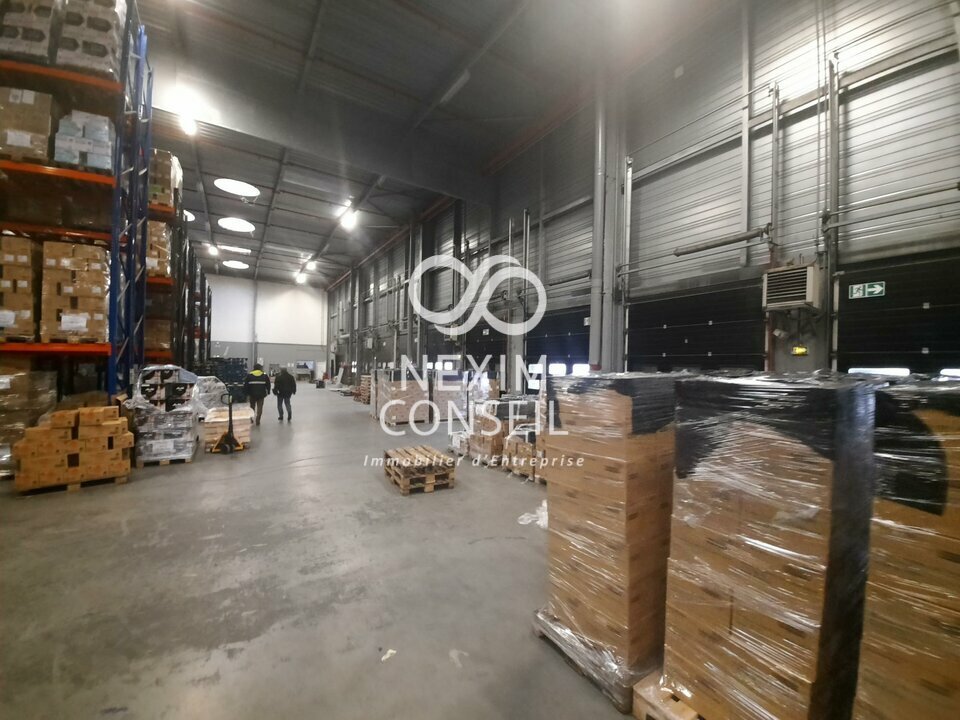 NEXIM CONSEIL LOCATION-ENTREPOT-GENNEVILLIERS-92
