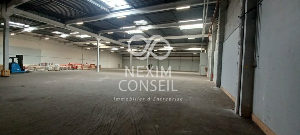 NEXIM CONSEIL LOCATION-ENTREPOT-PALAISEAU-91