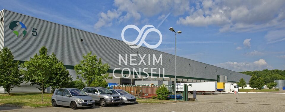 NEXIM CONSEIL LOCATION-ENTREPOT-MOISSY_CRAMAYEL-77