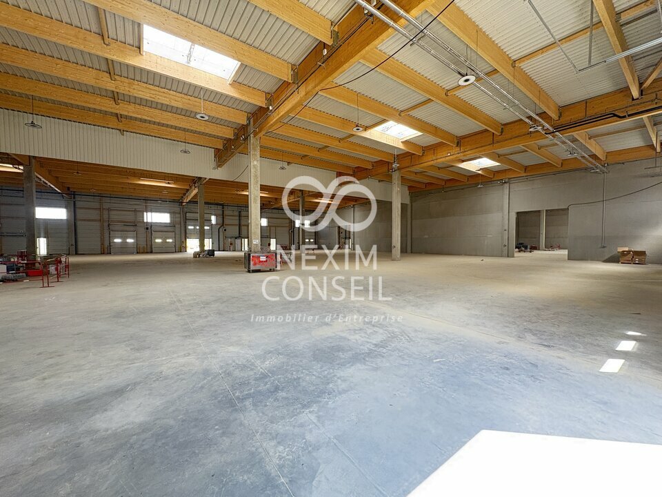 NEXIM CONSEIL LOCATION-ENTREPOT-WISSOUS-91
