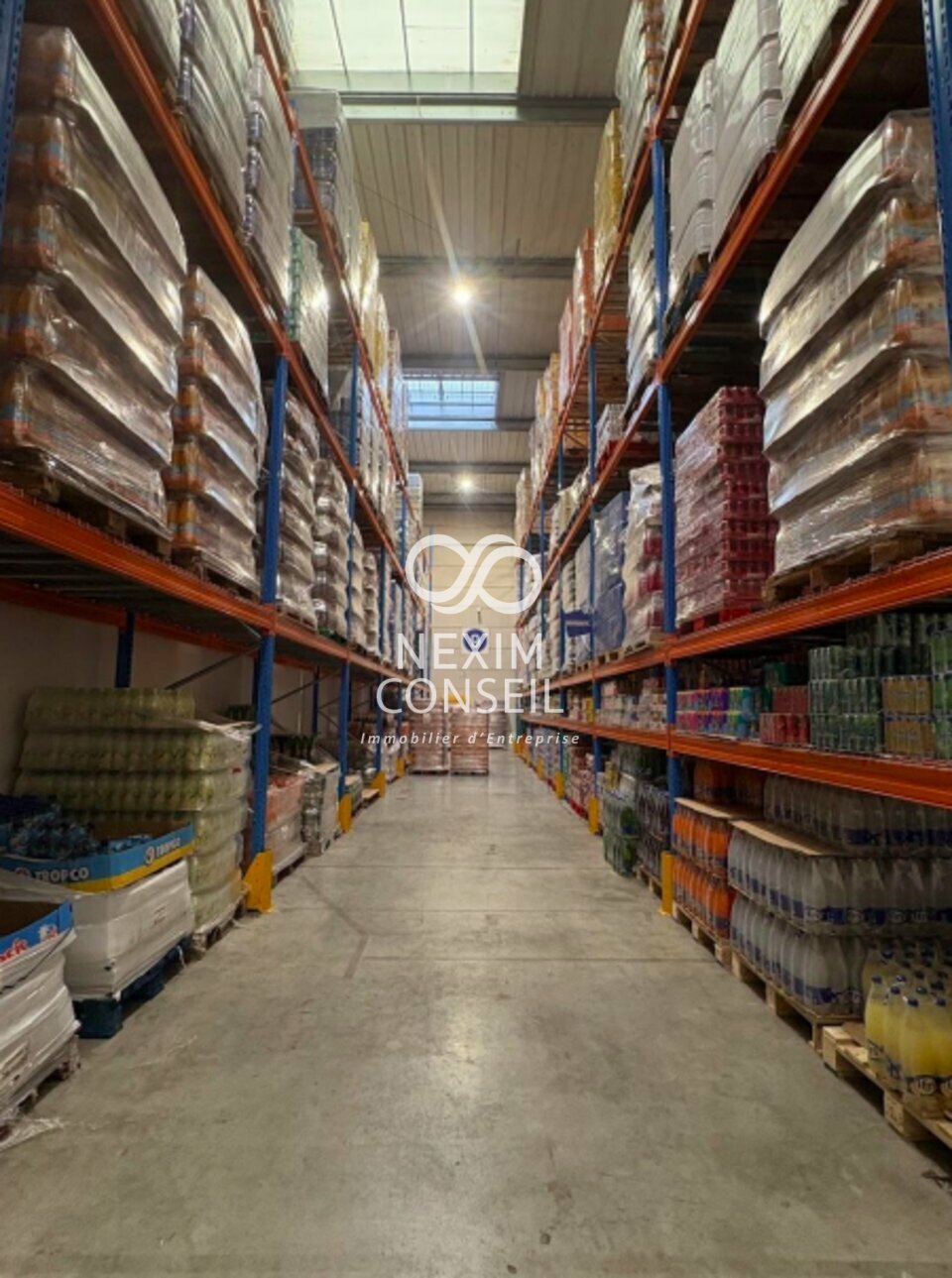 NEXIM CONSEIL LOCATION-ENTREPOT-GENNEVILLIERS-92