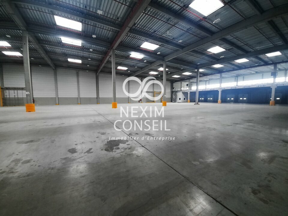 NEXIM CONSEIL LOCATION-ENTREPOT-GONESSE-95