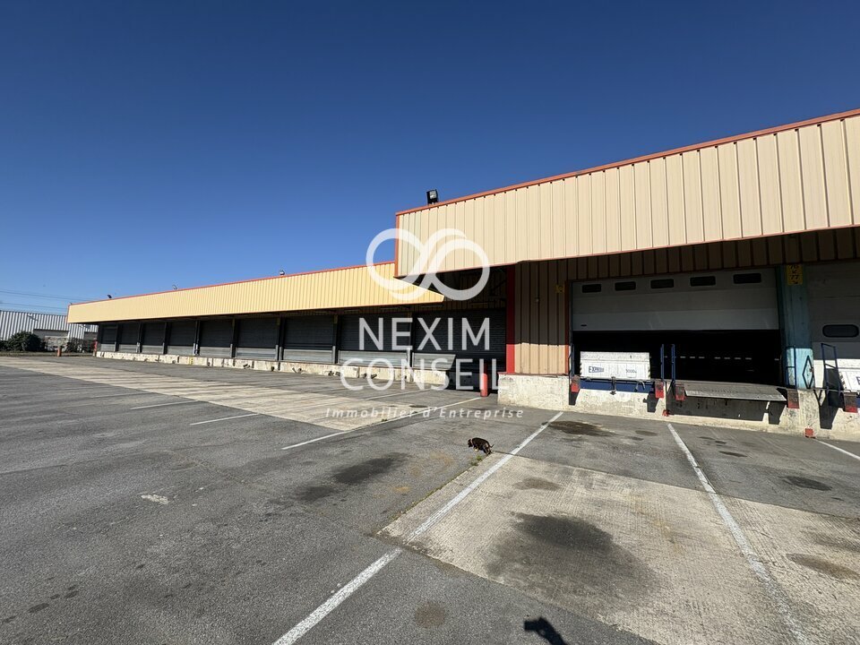 NEXIM CONSEIL LOCATION-ENTREPOT-TORCY-77