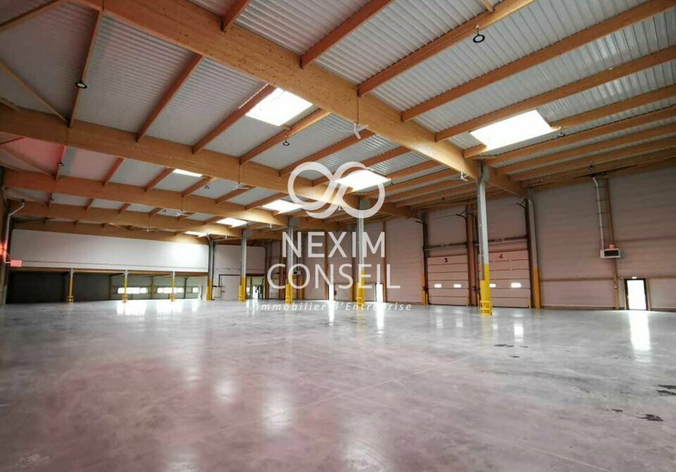 NEXIM CONSEIL LOCATION-ENTREPOT-BRIE_COMTE_ROBERT-77