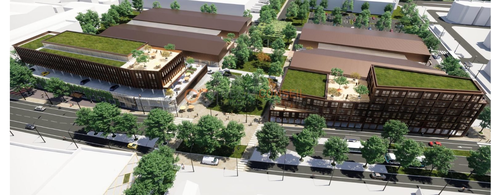 NEXIM CONSEIL LOCATION-ENTREPOT-ARGENTEUIL-95