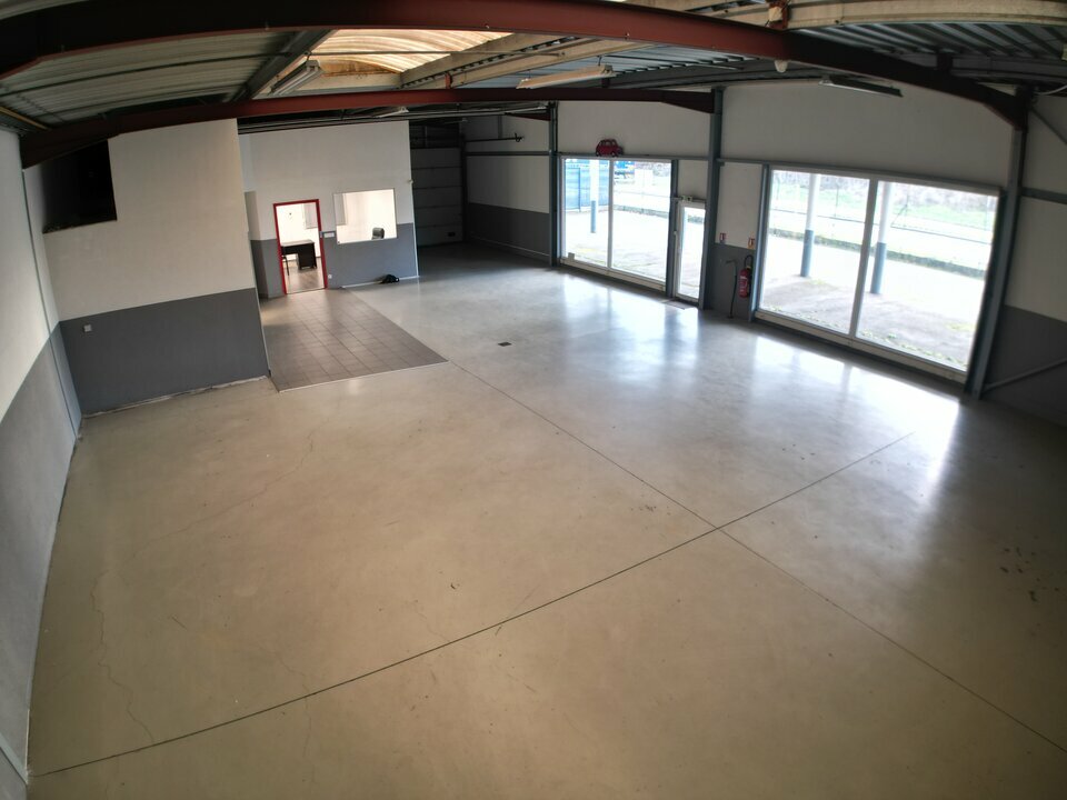 MCIE LOCATION-LOCAL D'ACTIVITE-ILLKIRCH_GRAFFENSTADEN-67