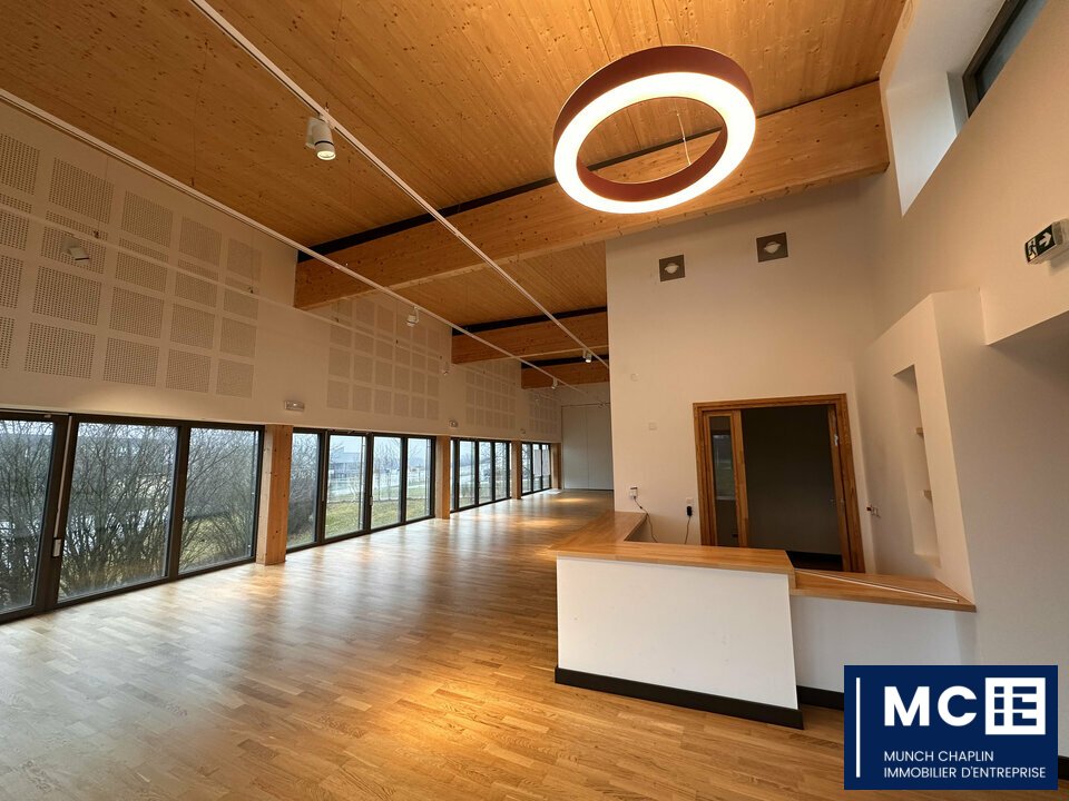 MCIE VENTE-BUREAUX-MONSWILLER-67