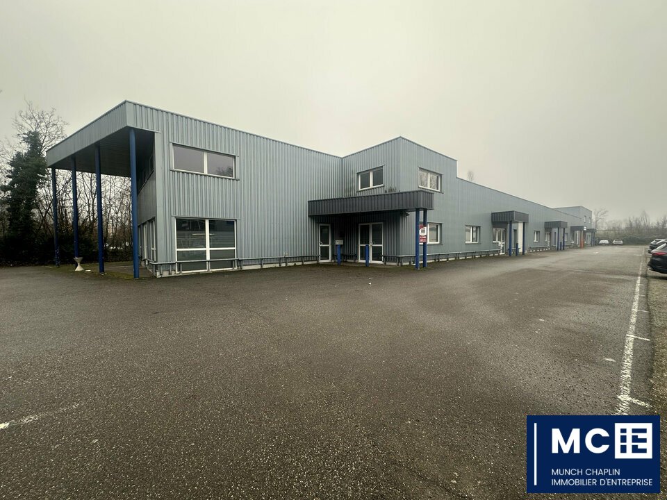 MCIE LOCATION-LOCAL D'ACTIVITE-GEISPOLSHEIM-67