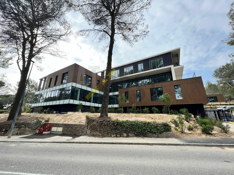 AT FIRST LOCATION-BUREAUX-VALBONNE-06
