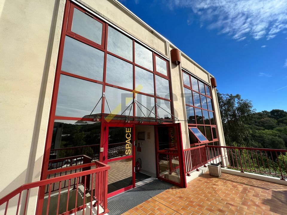 AT FIRST LOCATION-BUREAUX-VALLAURIS-06
