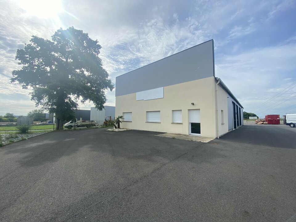 AXIO PRO LOCATION-LOCAL D'ACTIVITE-DOMLOUP-35