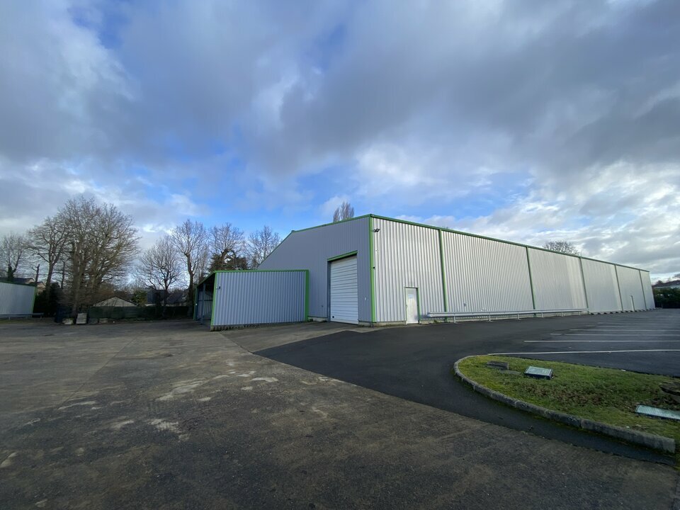 AXIO PRO LOCATION-LOCAL D'ACTIVITE-BETTON-35