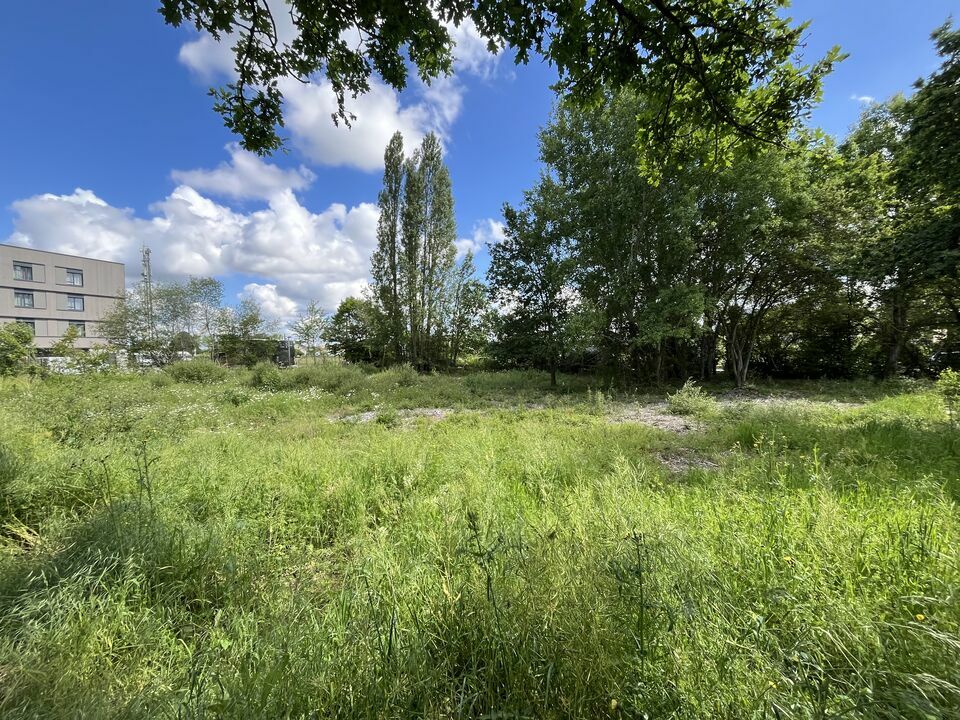 AXIO PRO VENTE-TERRAIN-CHANTEPIE-35