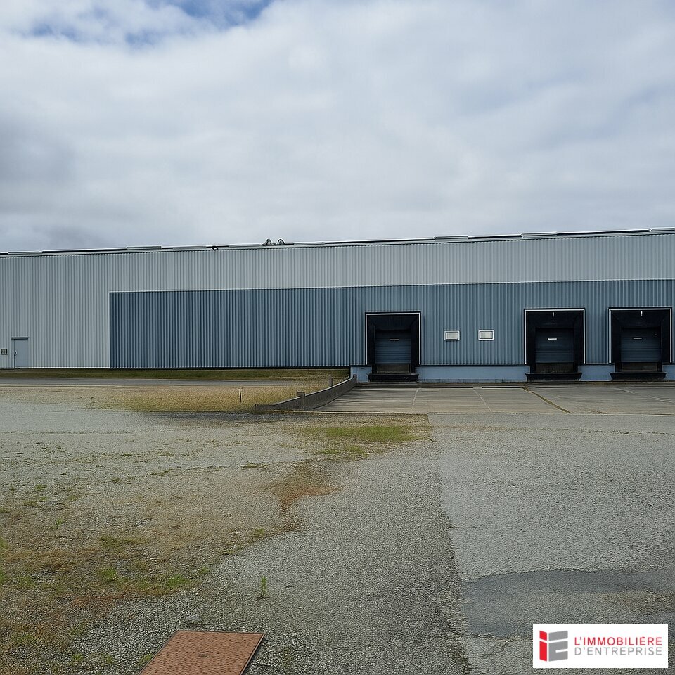 IMMOBILIERE RENNES VENTE-ENTREPOT-JANZE-35