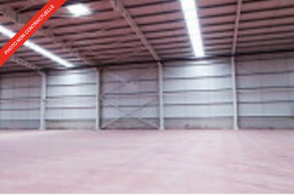 IMMOBILIERE BREST LOCATION-LOCAL D'ACTIVITE-BREST-29