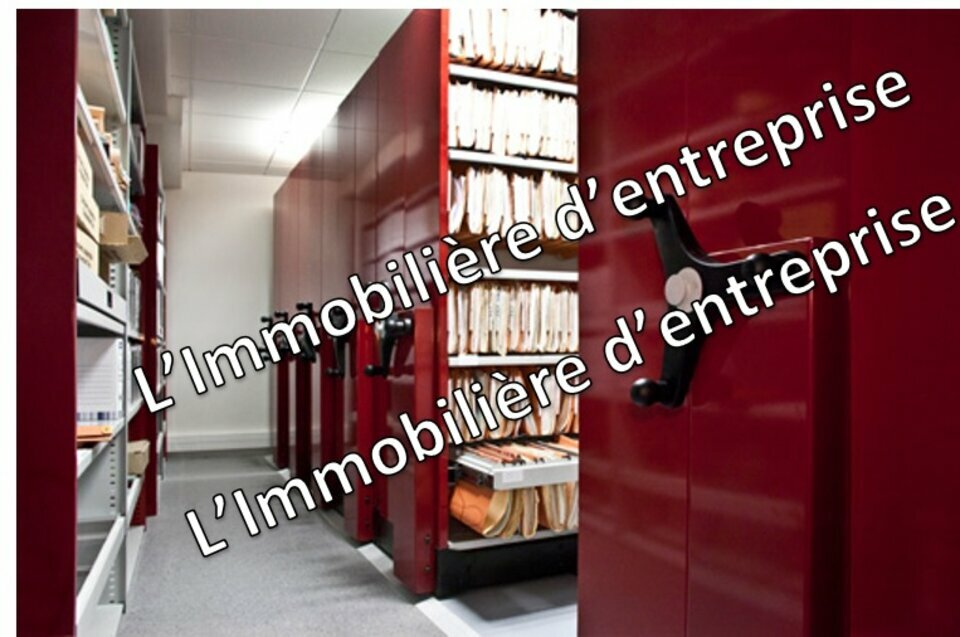IMMOBILIERE VANNES LOCATION-ENTREPOT-PLOUGOUMELEN-56