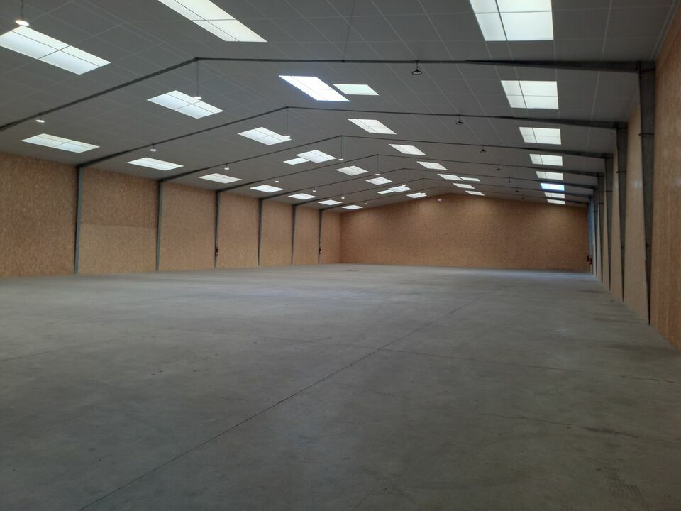 IMMOBILIERE RENNES LOCATION-LOCAL D'ACTIVITE-BETTON-35