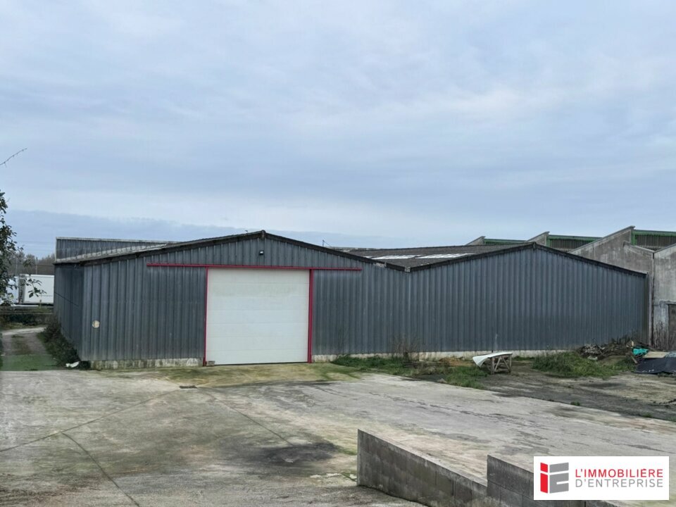 IMMOBILIERE LORIENT LOCATION-LOCAL D'ACTIVITE-LORIENT-56