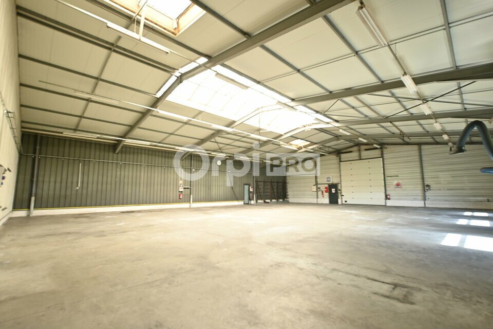 ORPI MYRIAD CONSEIL LOCATION-LOCAL D'ACTIVITE-REYRIEUX-01