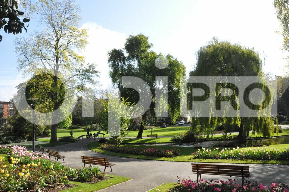 ORPI SEINE IMMOBILIER CESSION-LOCAL COMMERCIAL-LE_HAVRE-76