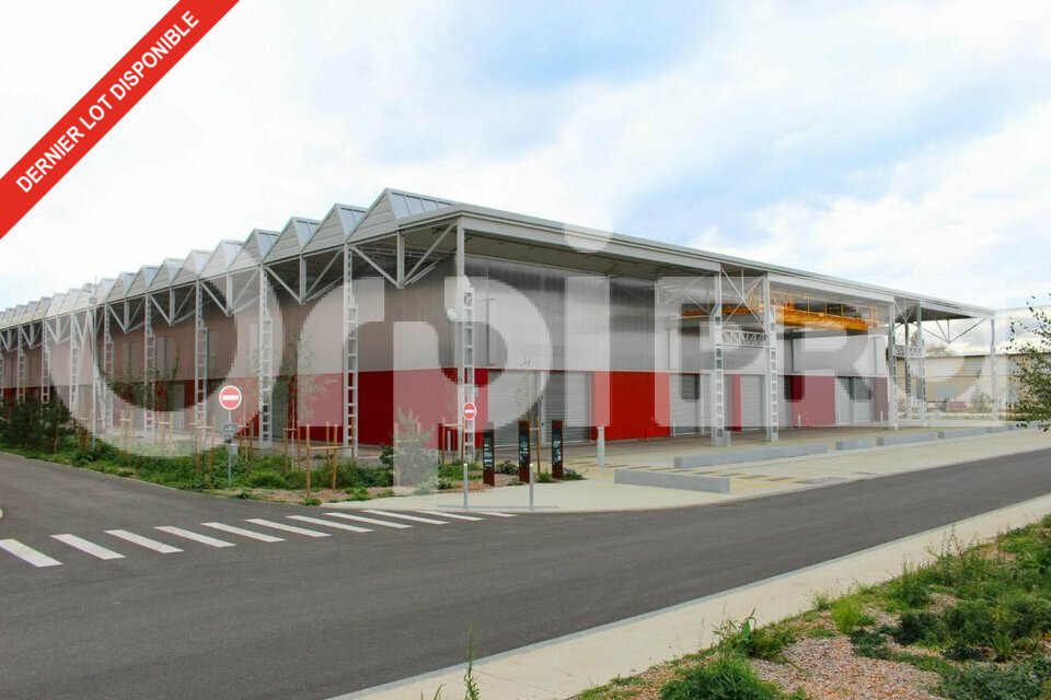 ORPI NA AND CO IMMOBILIER LOCATION-ENTREPOT-SOISSONS-02