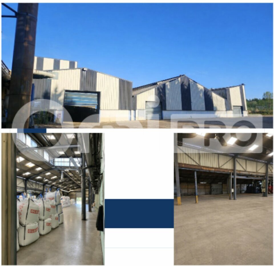 ORPI PROMISSIMO LOCATION-LOCAL D'ACTIVITE-VAUX-03