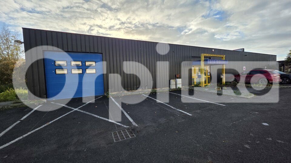 ORPI NA AND CO IMMOBILIER LOCATION-LOCAL D'ACTIVITE-VILLENEUVE-SAINT-GERMAIN-02