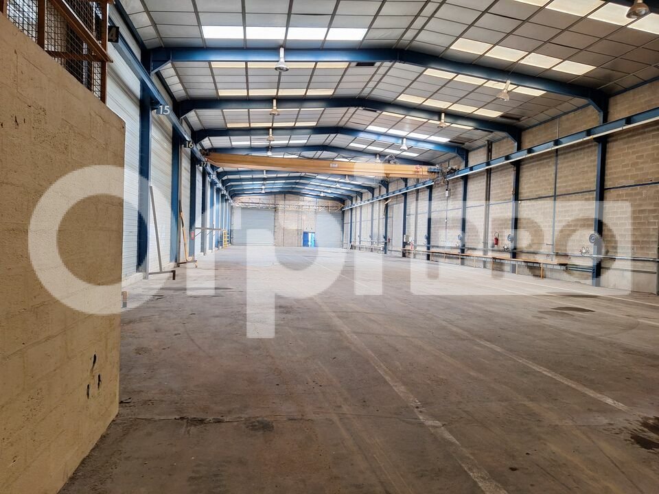 ORPI PRO CEGIT IMMO LOCATION-LOCAL D'ACTIVITE-CANLY-60