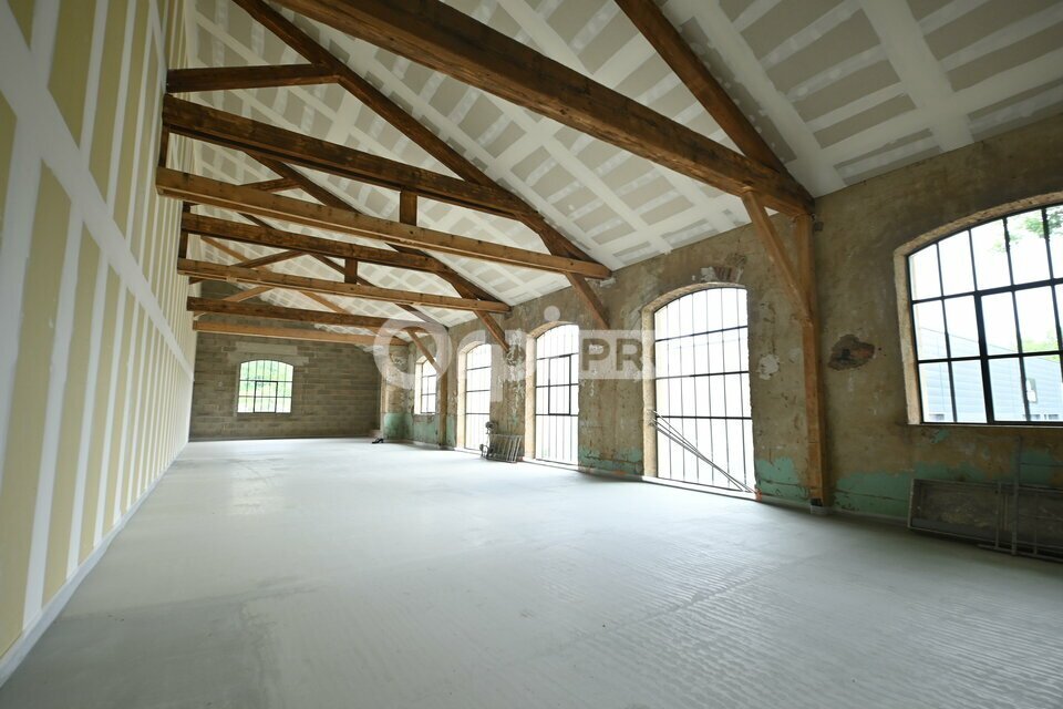 ORPI MYRIAD CONSEIL VENTE-BUREAUX-CHAPONOST-69