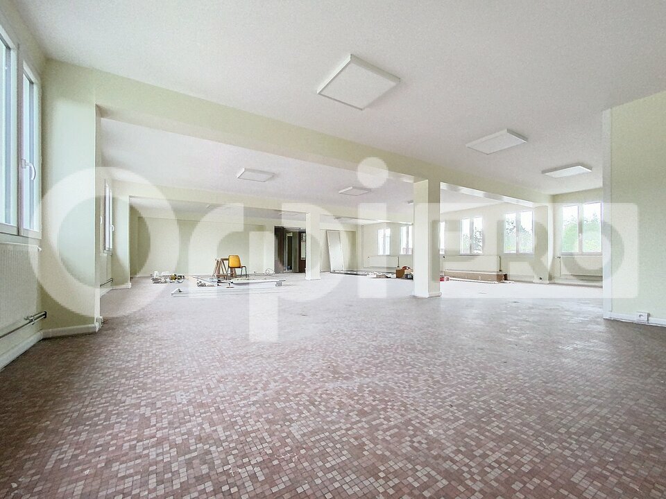 ORPI DHOURY IMMOBILIER LOCATION-BUREAUX-BREUIL_LE_SEC-60