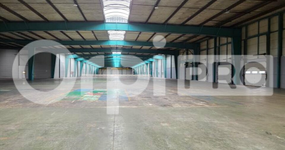 ORPI IMMO ENTRE PRO LOCATION-LOCAL D'ACTIVITE-LIEUSAINT-77