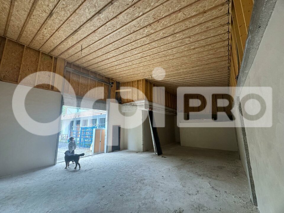 ORPI SAS DIRECT HABITAT LOCATION-LOCAL D'ACTIVITE-GLEIZE-69