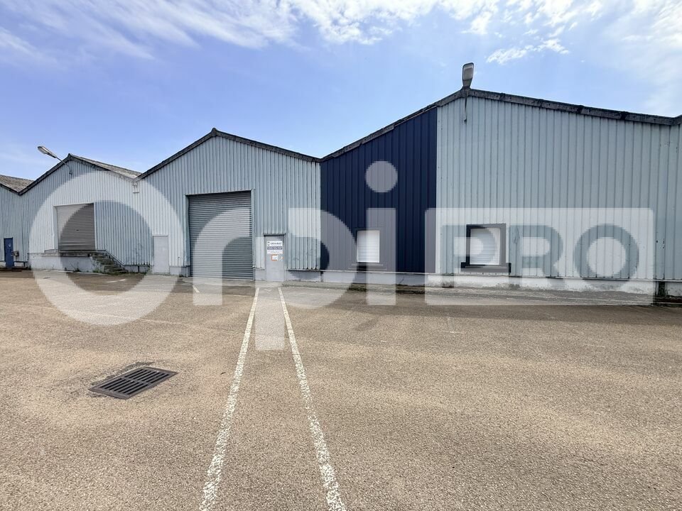 ORPI SEINE IMMOBILIER LOCATION-LOCAL D'ACTIVITE-SANDOUVILLE-76