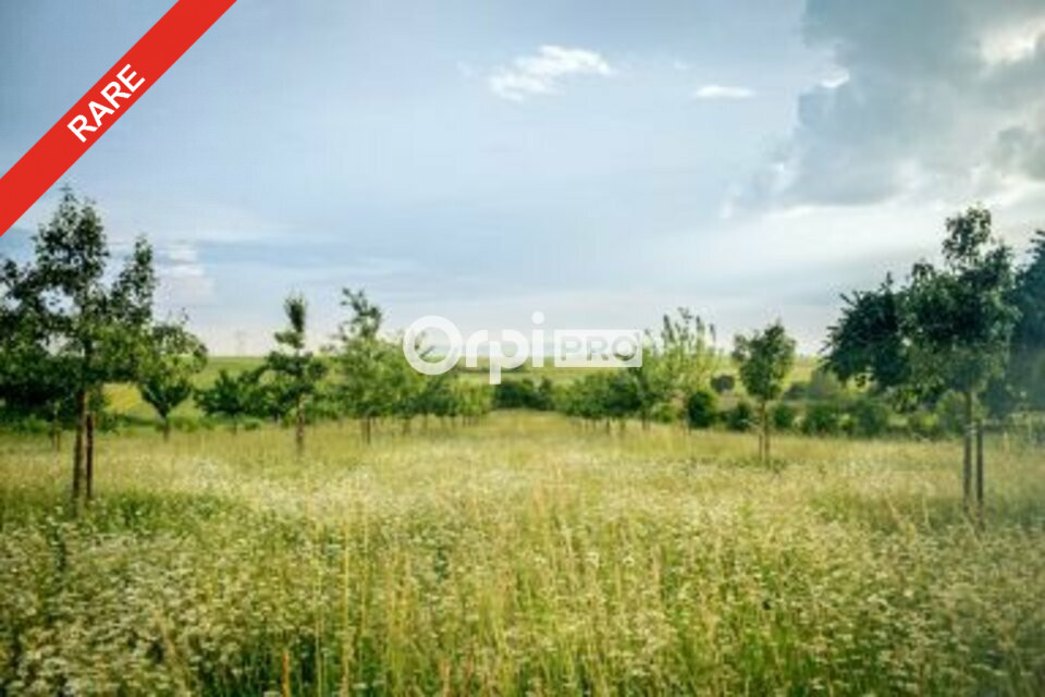 ORPI VIP BUSINESS VENTE-TERRAIN-FRONTENAUD-71