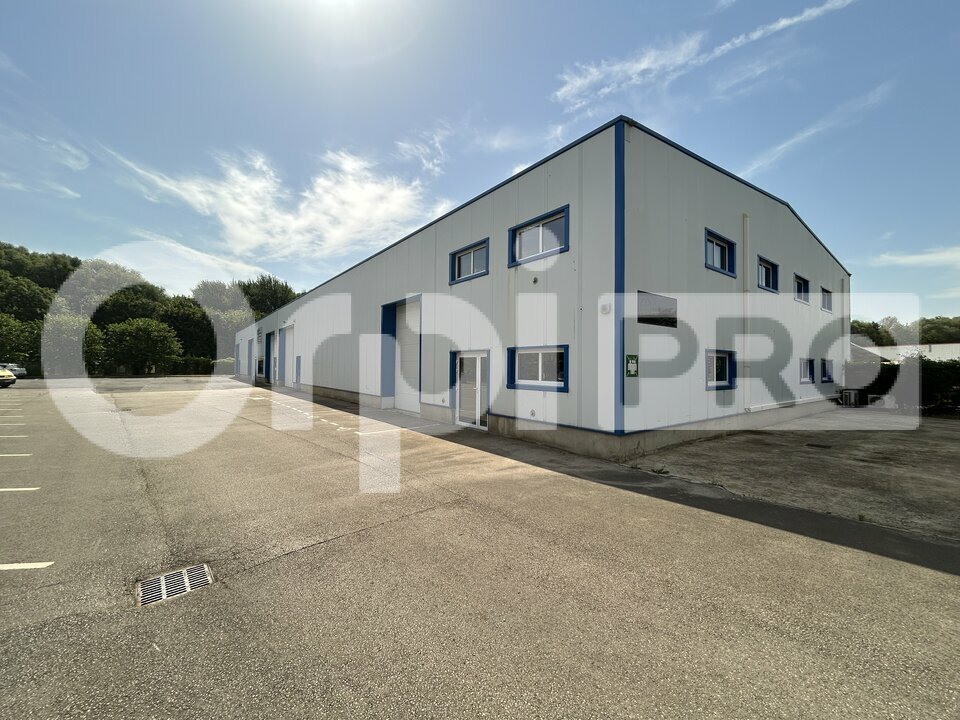 ORPI PRO CEGIT IMMO LOCATION-LOCAL D'ACTIVITE-ALLONNE-60