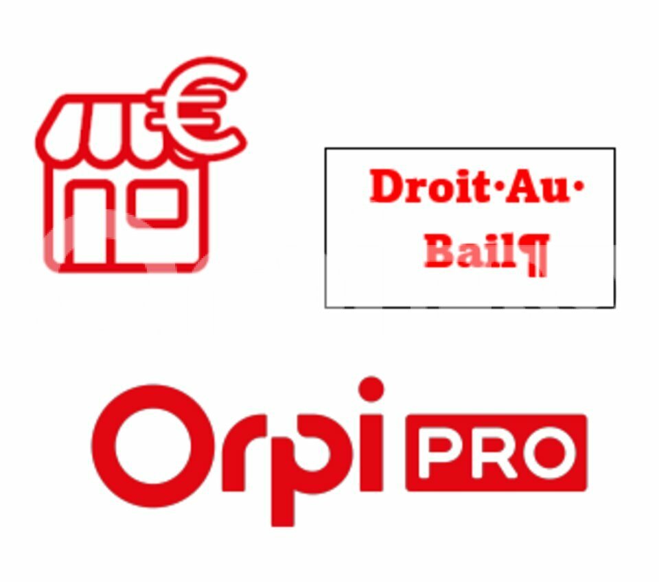 ORPI BISCARROSSE IMMOBILIER CESSION-LOCAL COMMERCIAL-BISCARROSSE-40