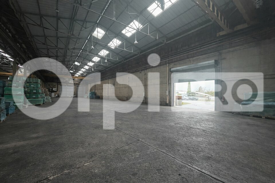 ORPI LSI VAL D'OZON LOCATION-LOCAL D'ACTIVITE-TERNAY-69