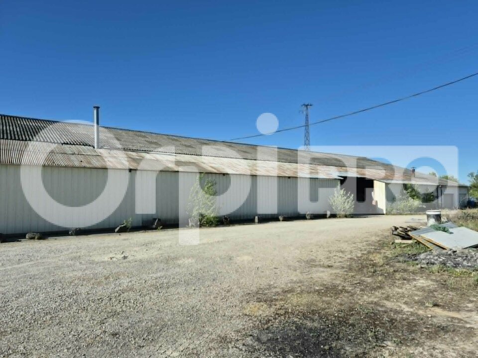 ORPI SARL COMPTOIR IMMOBILIER CHAMPENOIS LOCATION-LOCAL D'ACTIVITE-VITRY-LE-FRANCOIS-51
