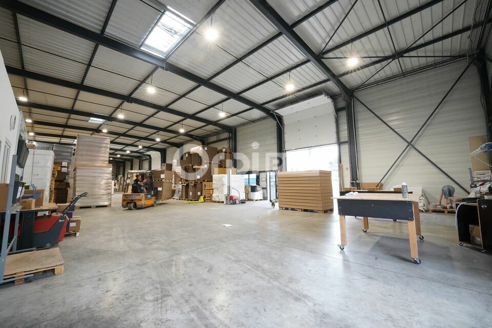 ORPI MYRIAD CONSEIL LOCATION-LOCAL D'ACTIVITE-MONTMERLE-SUR-SAONE-01