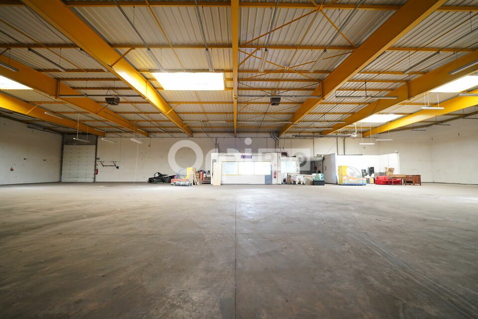 ORPI MYRIAD CONSEIL LOCATION-LOCAL D'ACTIVITE-MIRIBEL-01