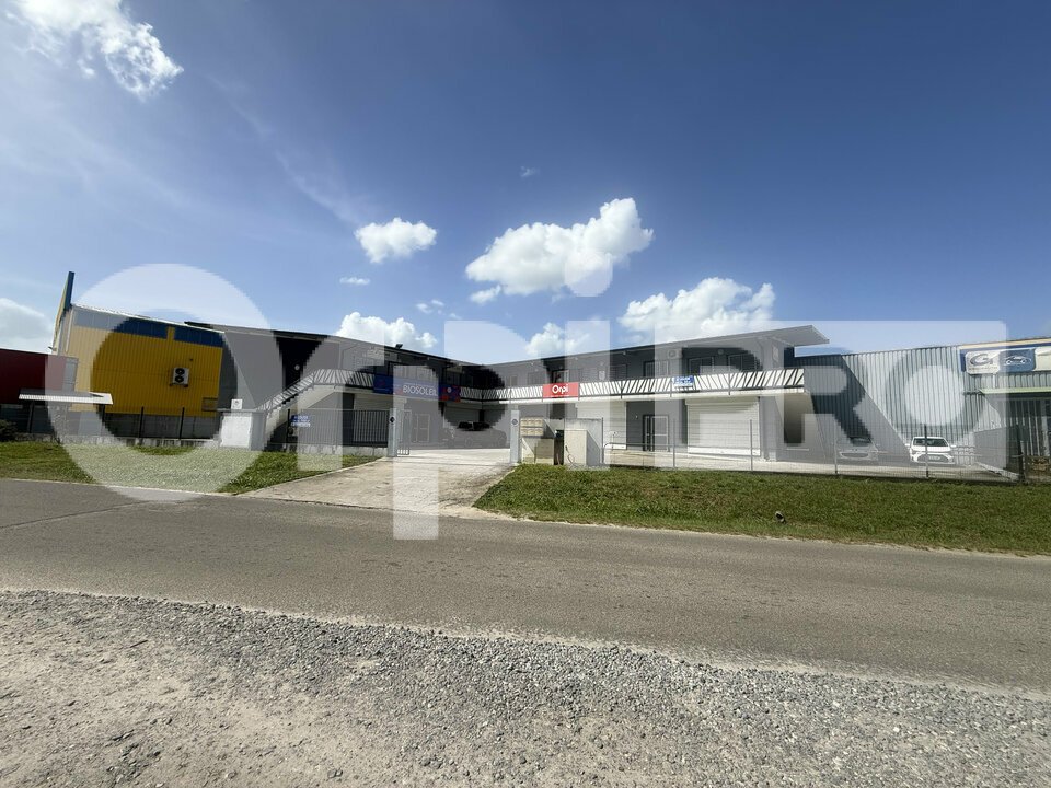 ORPI GCI LOCATION-BUREAUX-SAINT-LAURENT-DU-MARONI-97