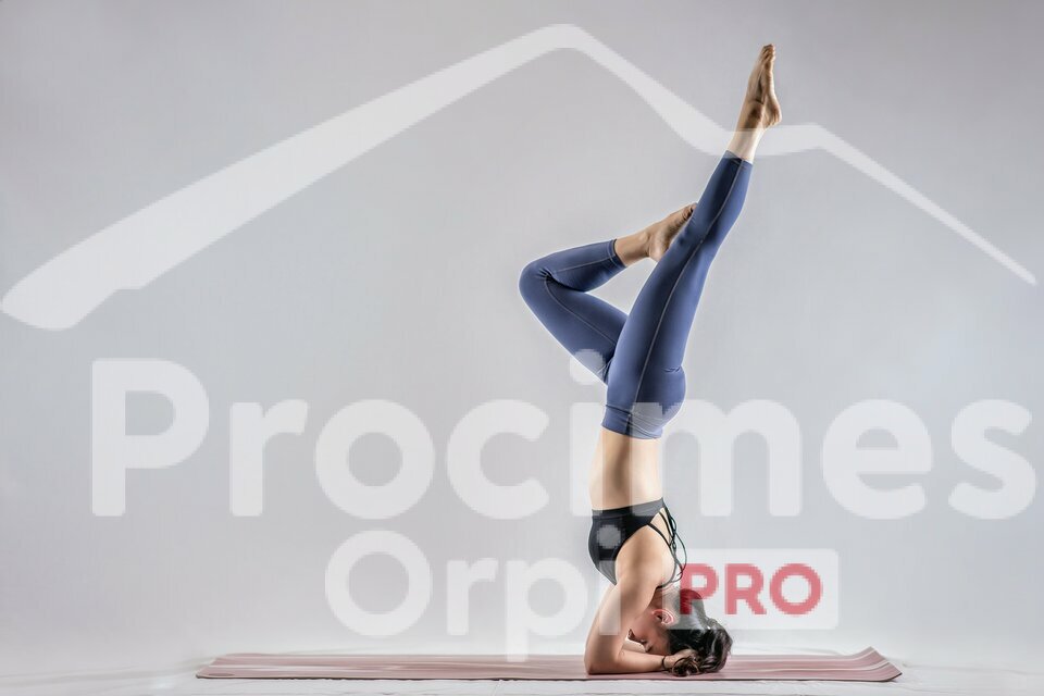 ORPI PROCIMES LOCATION-BUREAUX-TOURNON-73