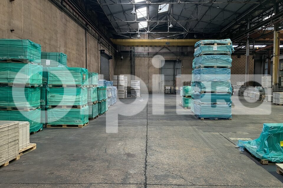 ORPI LSI VAL D'OZON LOCATION-LOCAL D'ACTIVITE-TERNAY-69