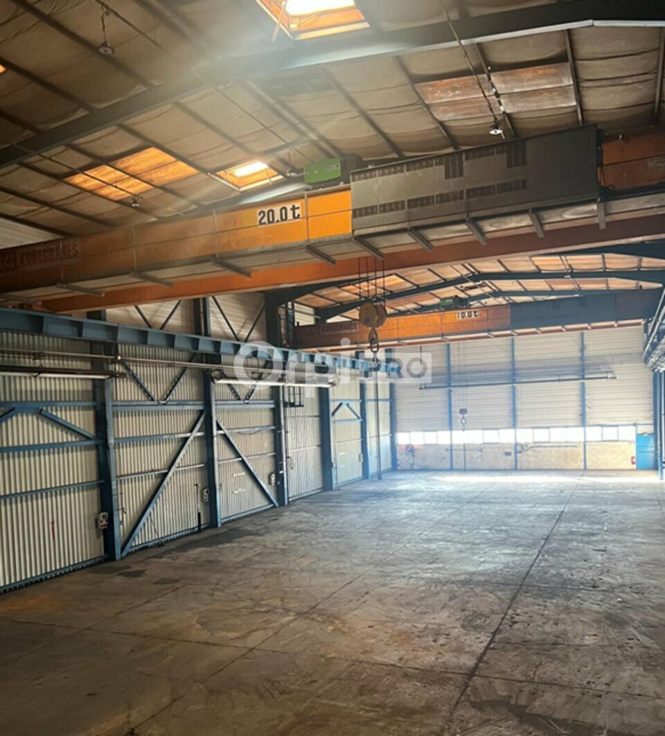 ORPI MYRIAD CONSEIL LOCATION-LOCAL D'ACTIVITE-BELIGNEUX-01